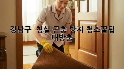 강남구 🏡 침실 곤충 방지 청소🧹꿀팁 대방출!